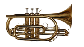 Bb Cornet for beginners (gold)